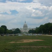  The US Capitol Washington DC